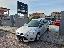 FORD Focus 1.6 TDCi 115 CV SW Business