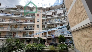 zoom immagine (Appartamento 45 mq, 1 camera, zona Colli Aminei)